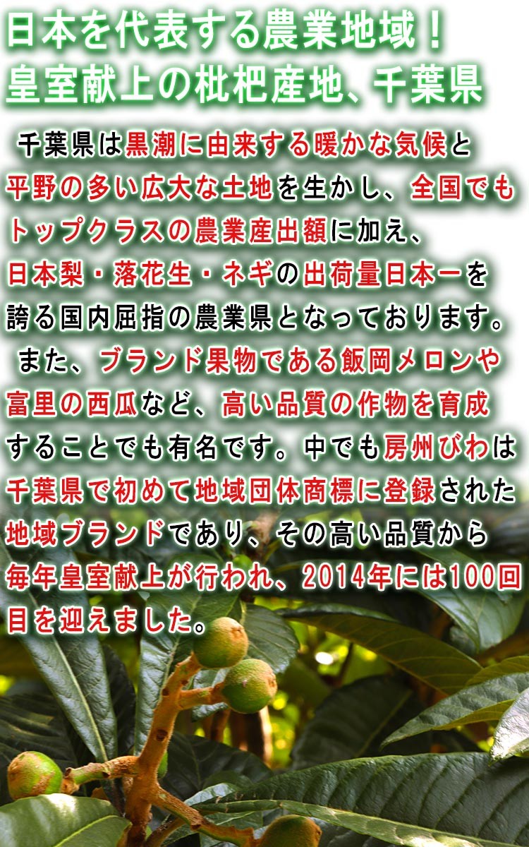 千葉県 特産品