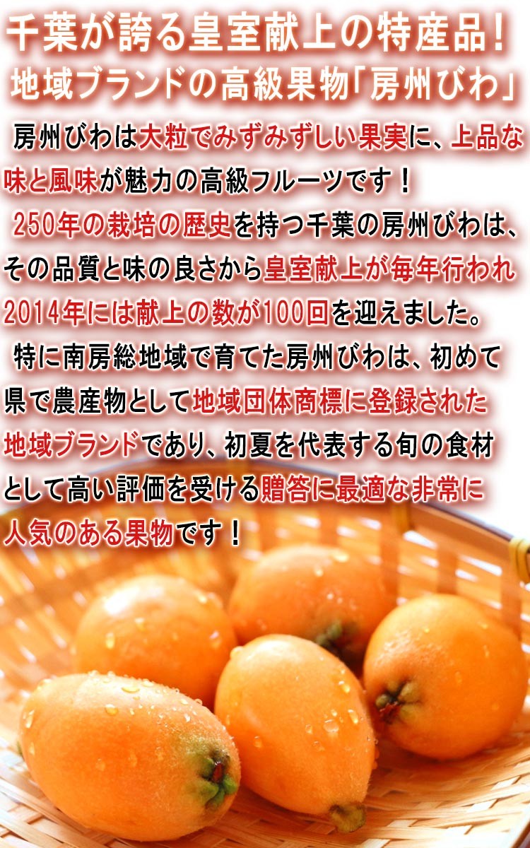 フルーツ ビワ