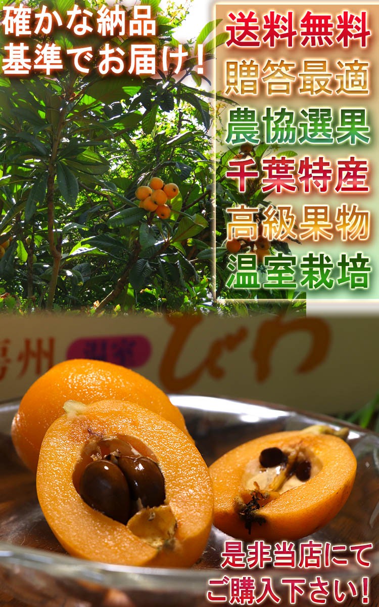 枇杷 ギフト