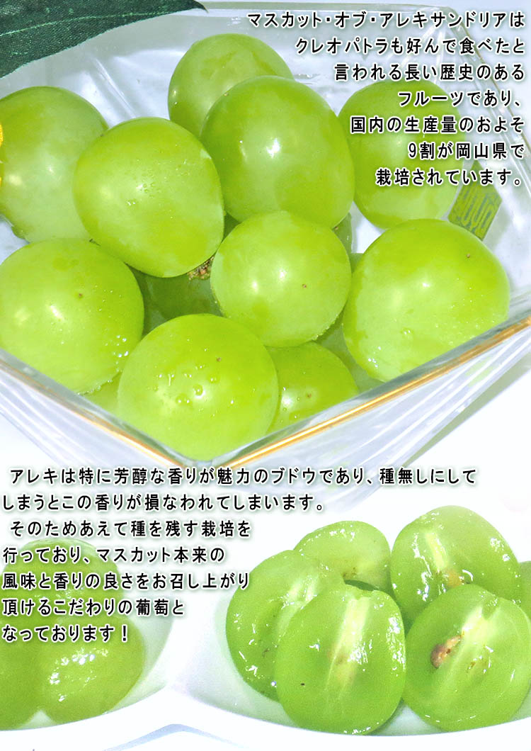 フルーツ アレキ