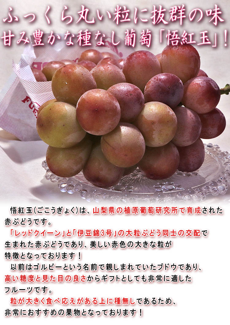 悟紅玉（旧ゴルビー）赤葡萄 約800g〜1kg 2房入り 贈答規格 山梨県産
