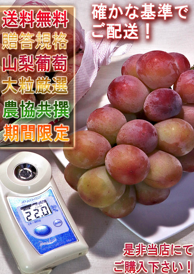 2️⃣8️⃣ 山梨県産 ゴルビー 10房 箱込み5.6キロ 2️⃣8️⃣ 山梨