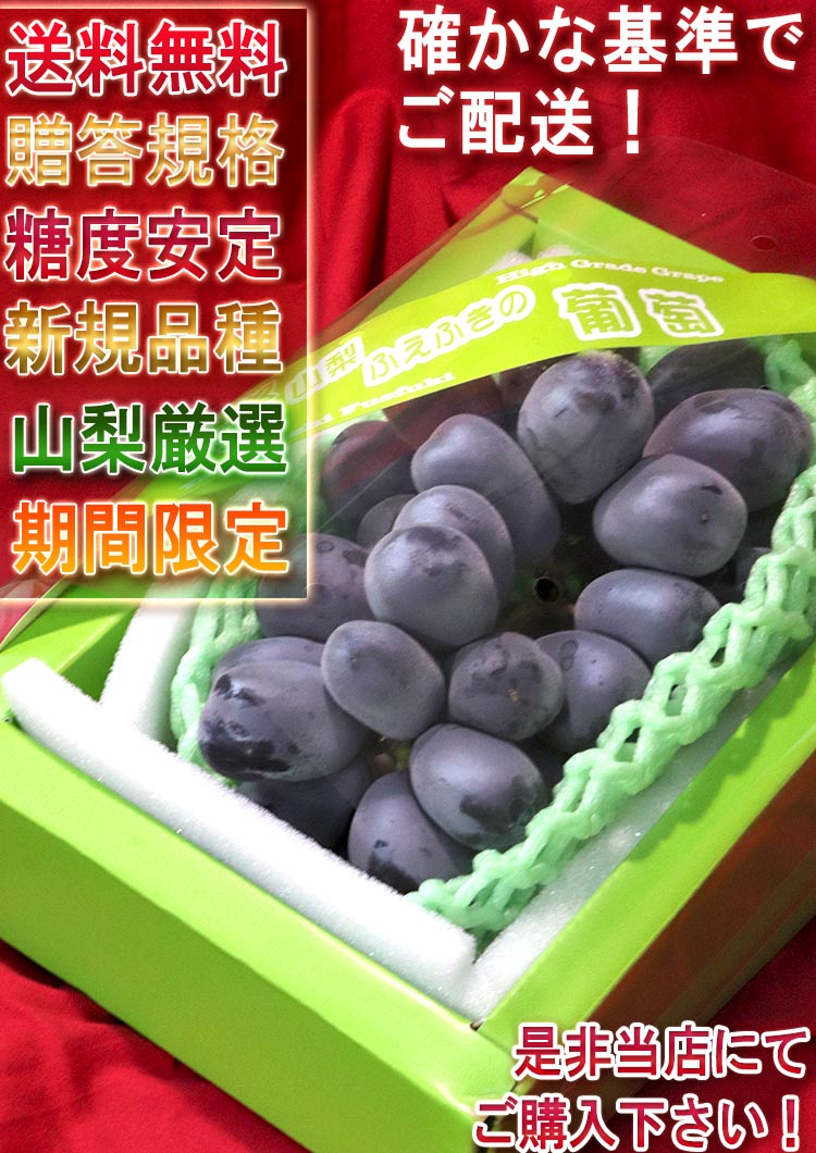 富士の輝 ブラックシャインマスカット 匠の葡萄 約750g 1房入り 山梨県