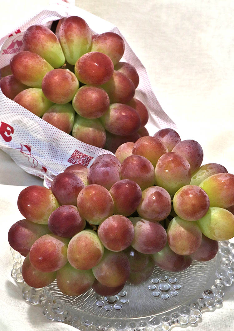 コトピー 赤葡萄 約1.0〜1.2kg 2房入り 贈答規格 山梨県産 JA共撰品 皮