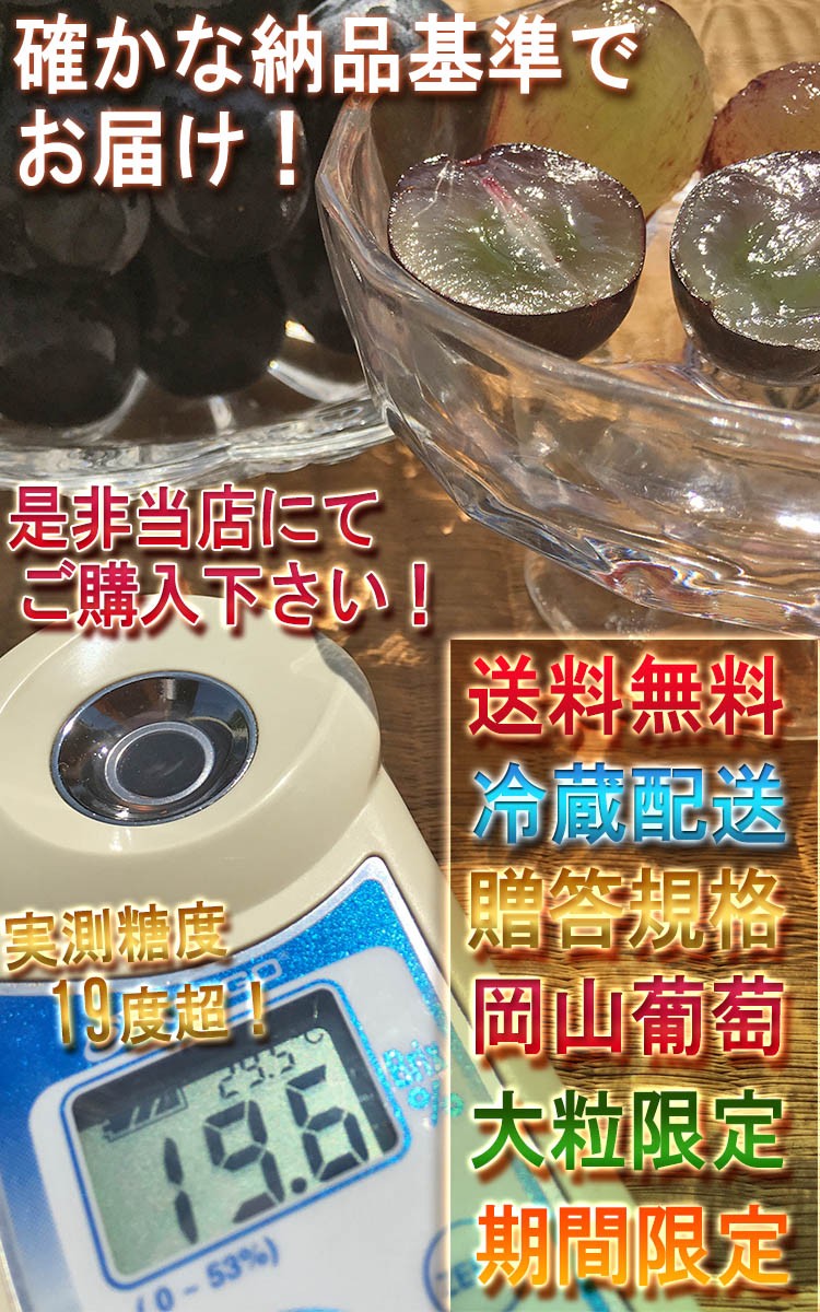 山梨県 葡萄