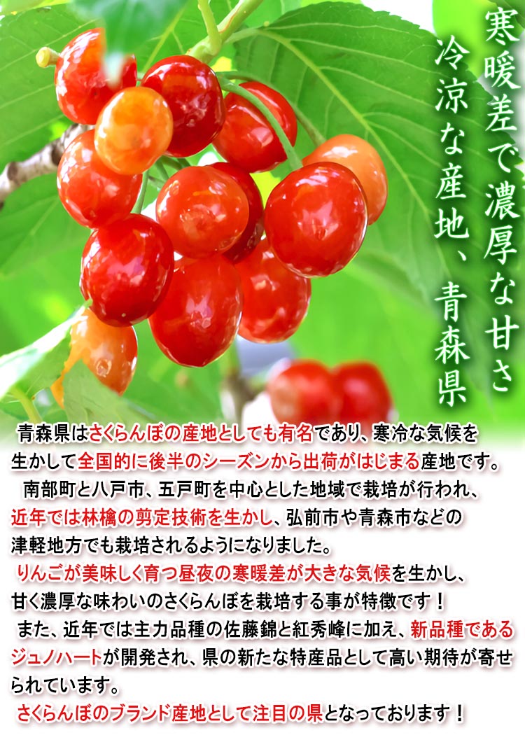青森 さくらんぼ