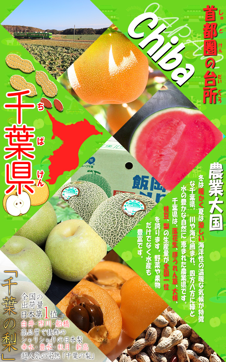 千葉県