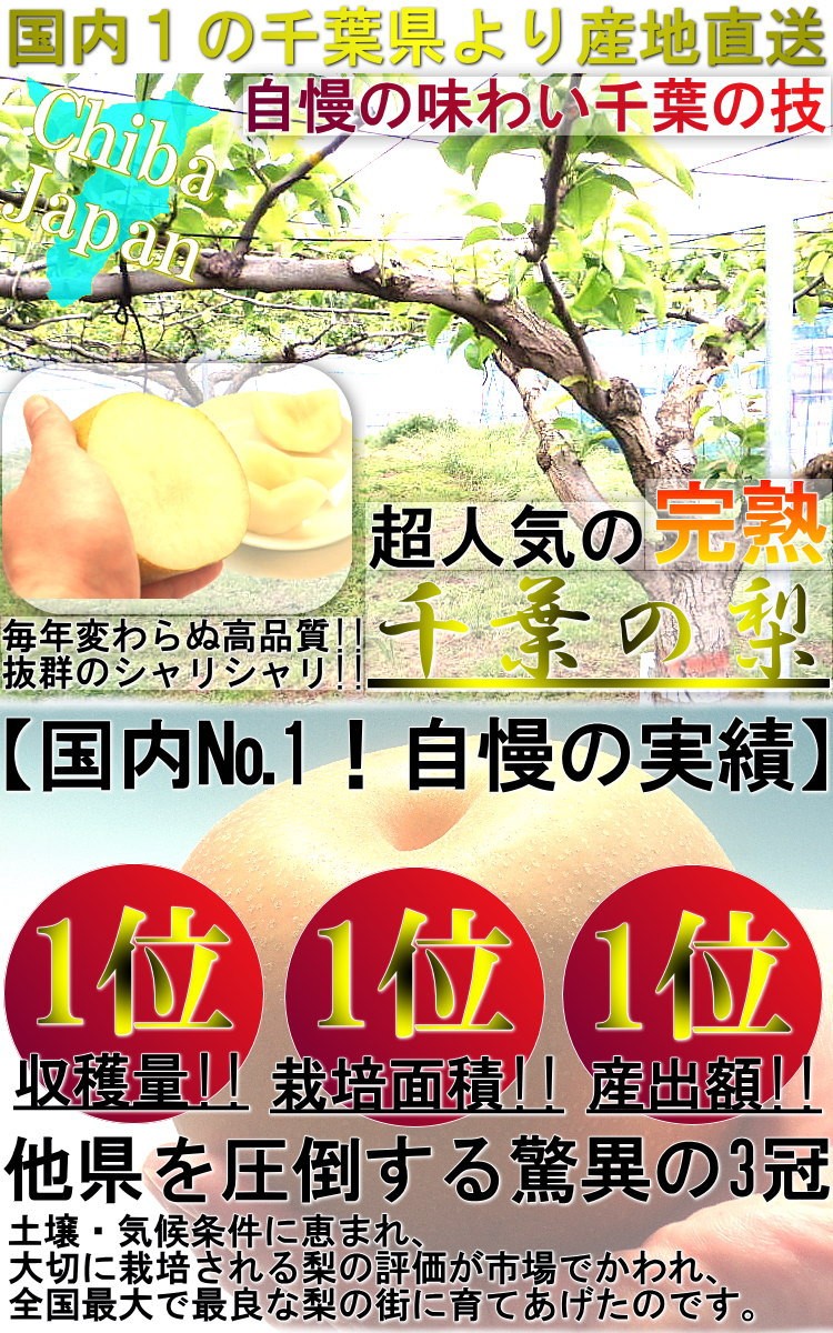 市川梨 幸水・豊水・あきづき・新高 約5kg 8〜16玉 秀品 大玉中心 千葉