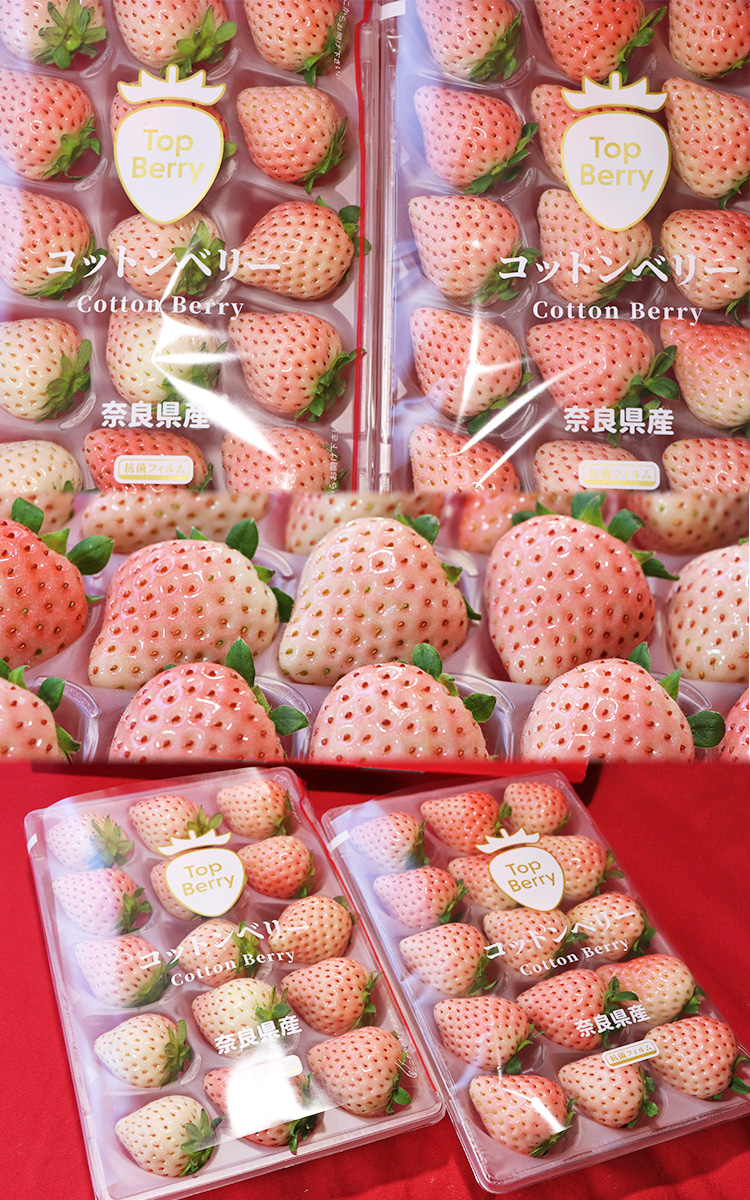 コットンベリー 約260g×2パック入り 奈良県産 贈答規格 産地箱入り