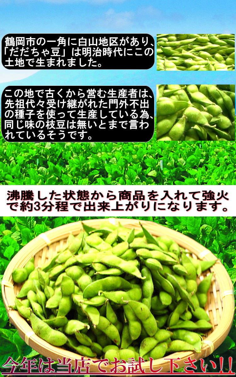 偉大な 白山 だだちゃ豆 1kg 山形鶴岡産 本豆 晩成 枝豆 だだちゃまめ ダダチャ 枝まめ 豆 まめ おつまみ ギフト 贈答 えだまめ 茶豆  産地直送 産直