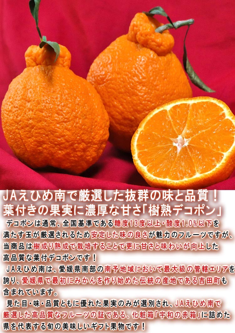 樹熟デコポン JAえひめ南
