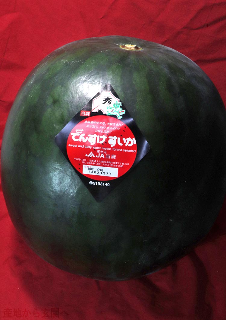 でんすけすいか 黒皮ブランド西瓜 特大限定 1玉入り 約9kg 北海道産 JA
