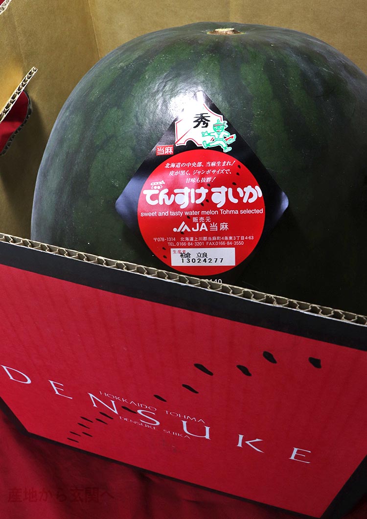 でんすけすいか 黒皮ブランド西瓜 特大限定 1玉入り 約9kg 北海道産 JA