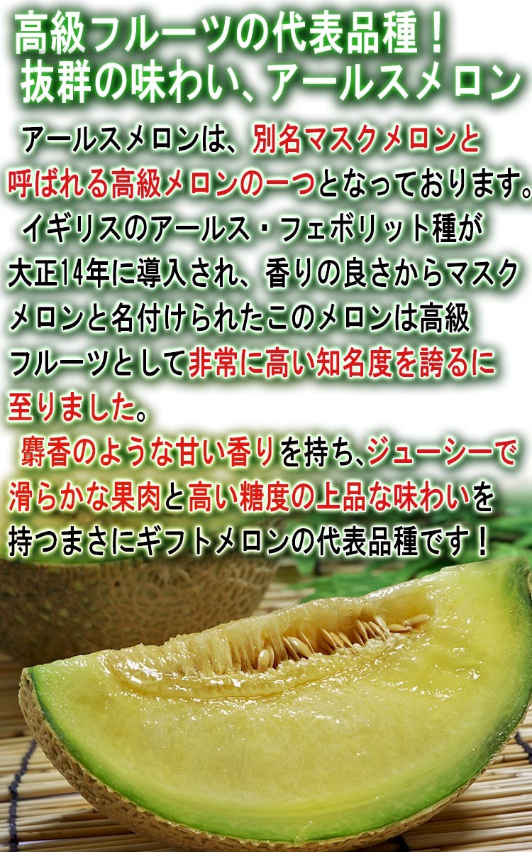 アールスメロン 青肉メロン 約8kg 4〜6玉 熊本県産 贈答品