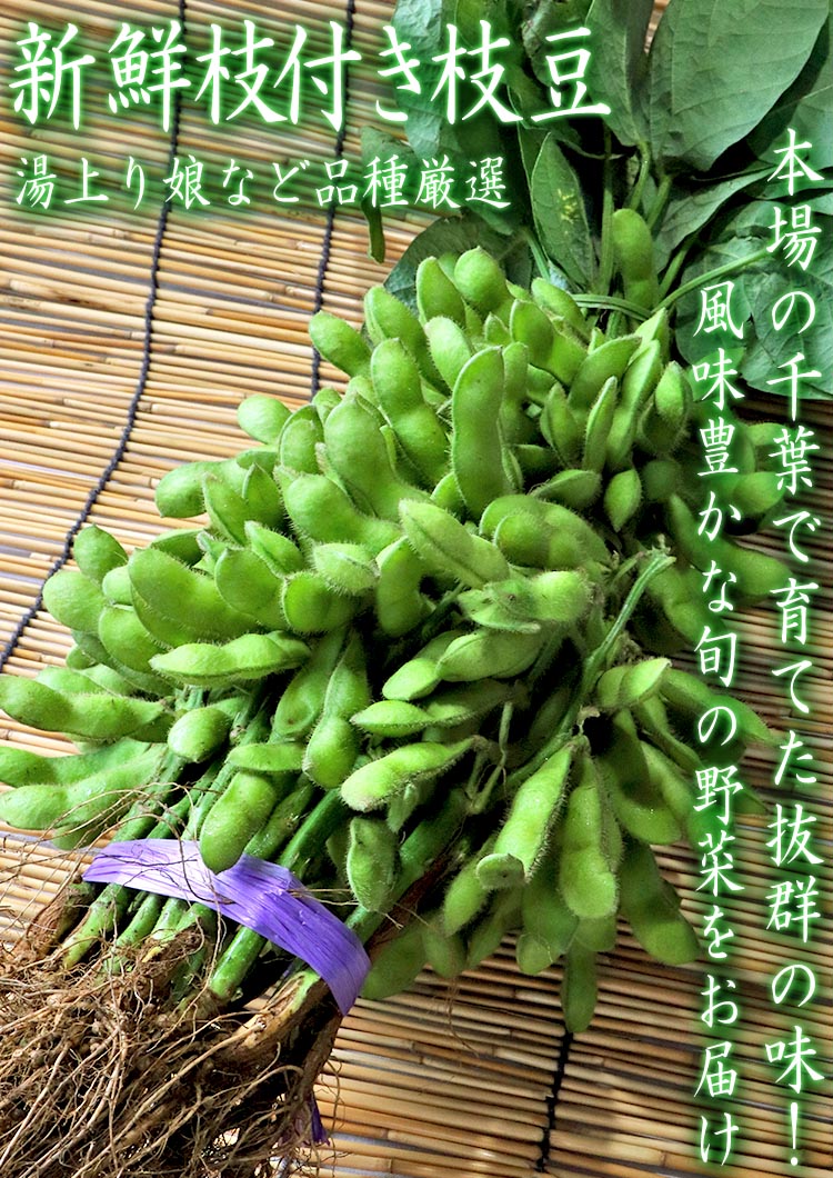 枝豆　　10キロ　9月30日終了 十勝産冷凍むき枝豆 1kg×10パック | Eating Hokkaido | 山本忠信