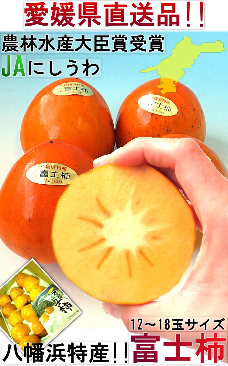 産地直送 富士柿 ふじがき 約5kg 大玉限定 愛媛県産 訳あり品