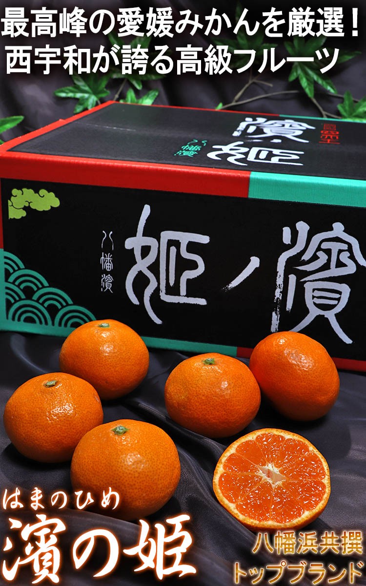 濱ノ姫 みかん 愛媛 プレミアム 約5kg 贈答規格・特秀品限定 JAにし