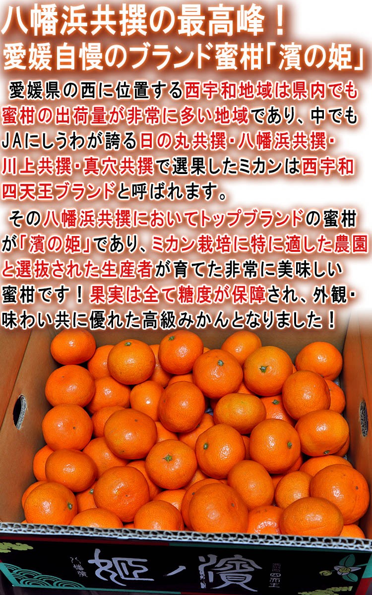 濱の姫 みかん