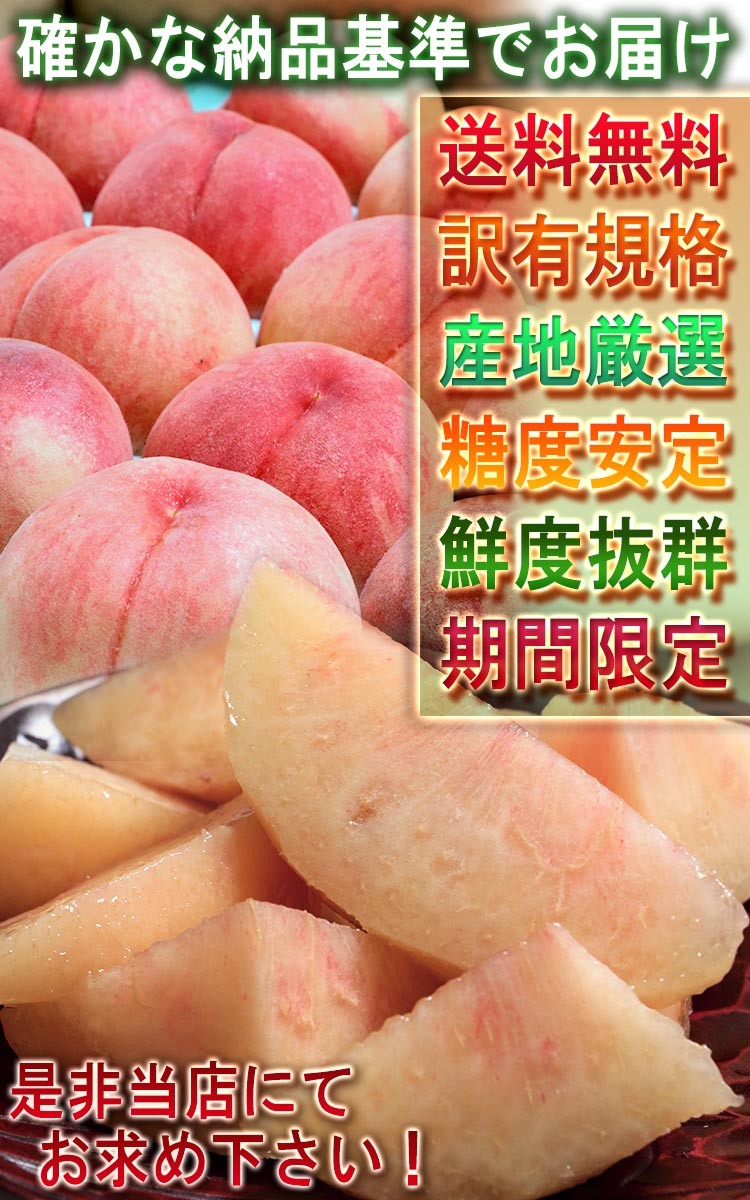 春日井 桃