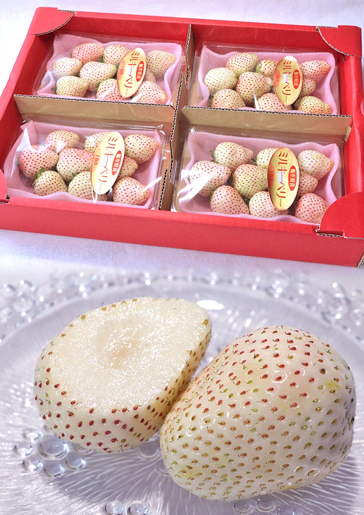 希少品種 いちご