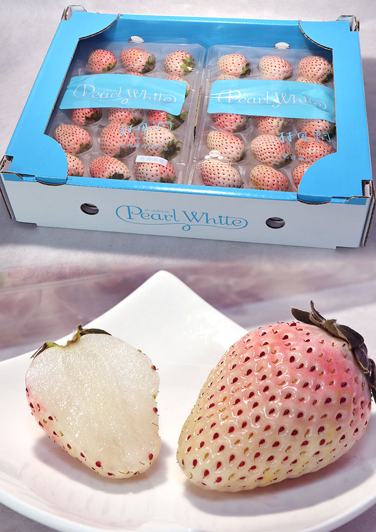 パールホワイト 白いちご 約200g×2パック 佐賀県産 贈答規格 真っ白な