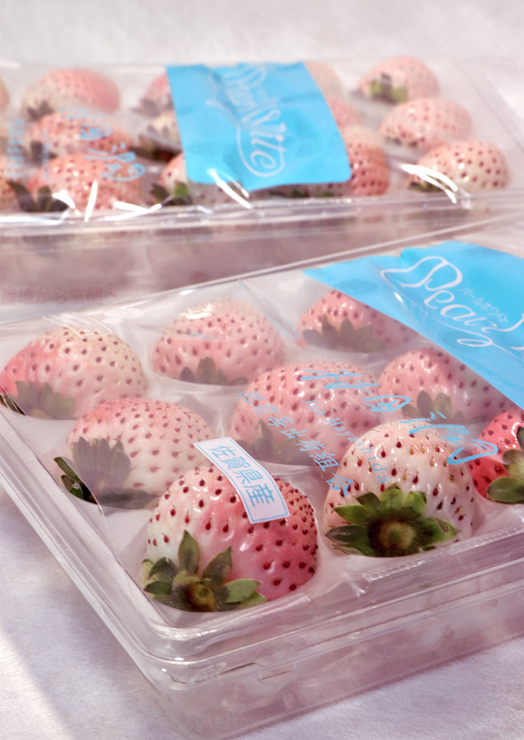 パールホワイト 白いちご 約200g×2パック 佐賀県産 贈答規格 真っ白な