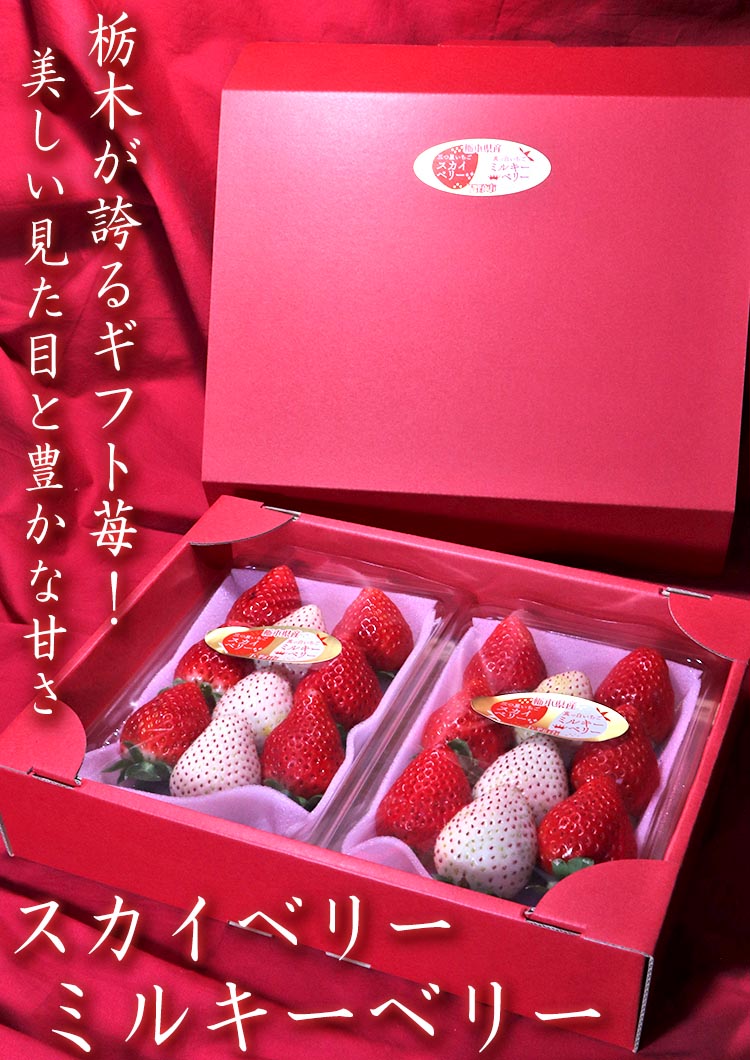 紅白いちごセット スカイベリー・ミルキーベリー 約300g×2パック