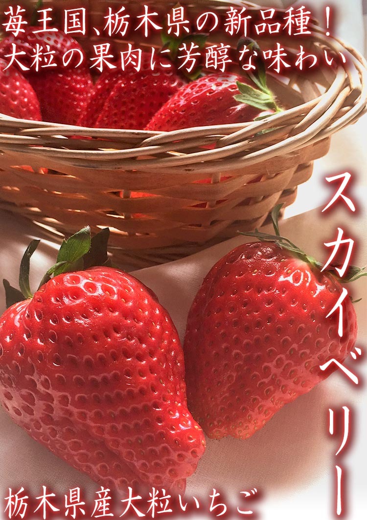 紅白いちごセット スカイベリー・ミルキーベリー 約300g×2パック