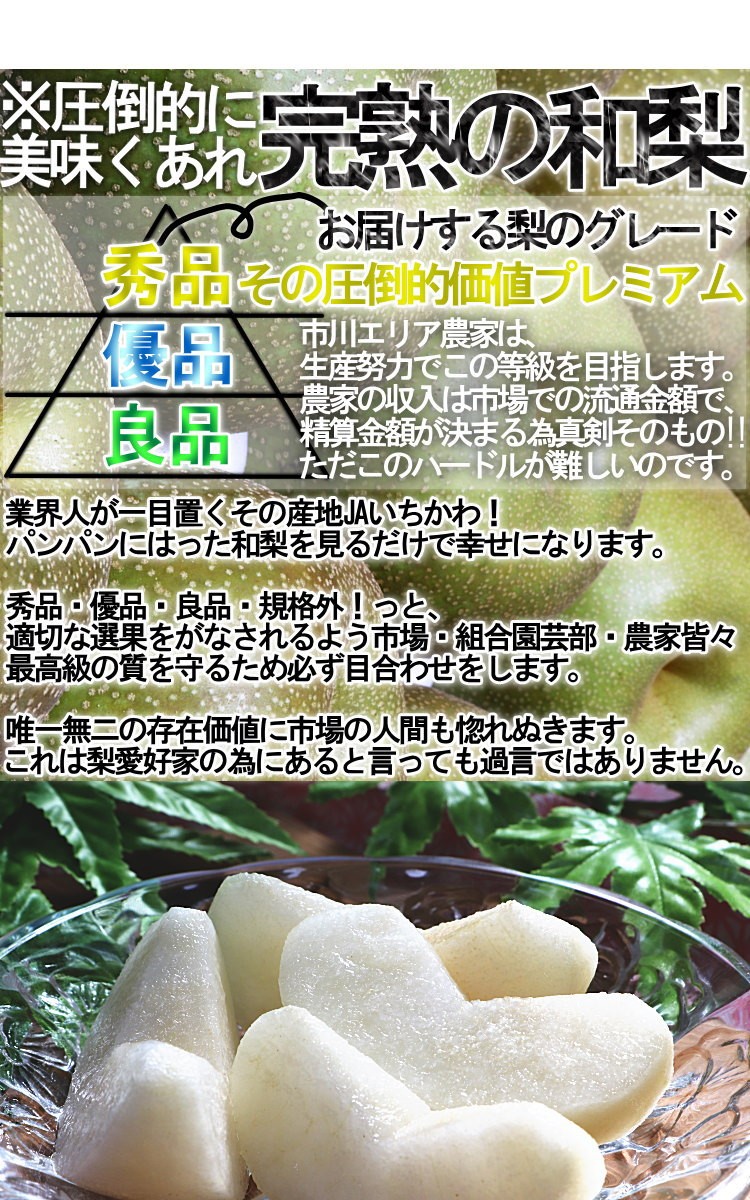 旬 梨