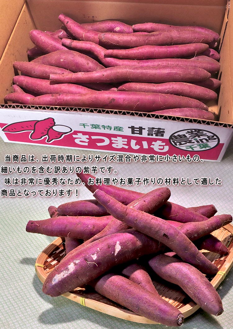 パープルスイートロード 紫芋 約5kg 千葉県産中心 訳あり品 ホクホクの食感と上品な甘さ！お菓子作りにも人気のさつまいも