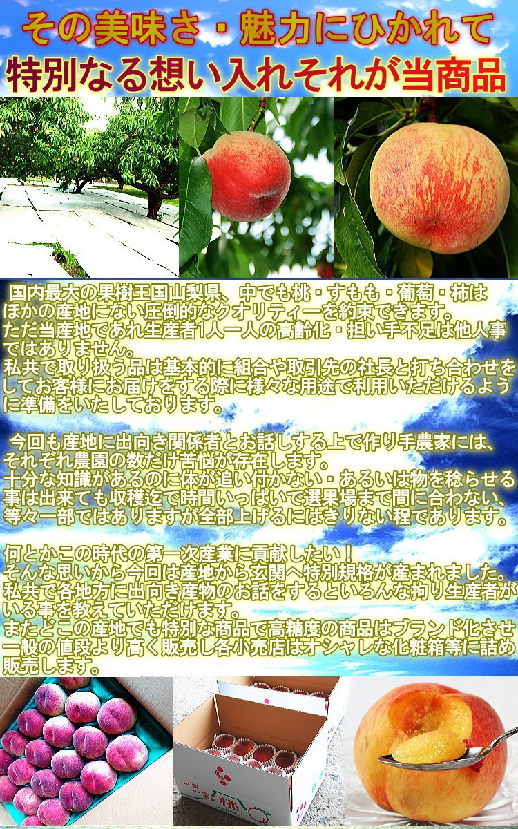産地直送 甲斐国の桃 5kg 15〜22玉 山梨県産 秀品 お中元 ギフト 白桃