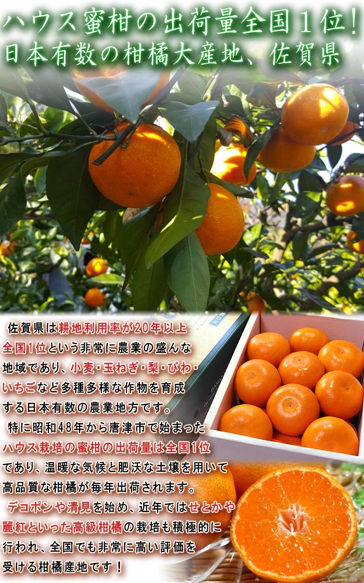 佐賀 みかん