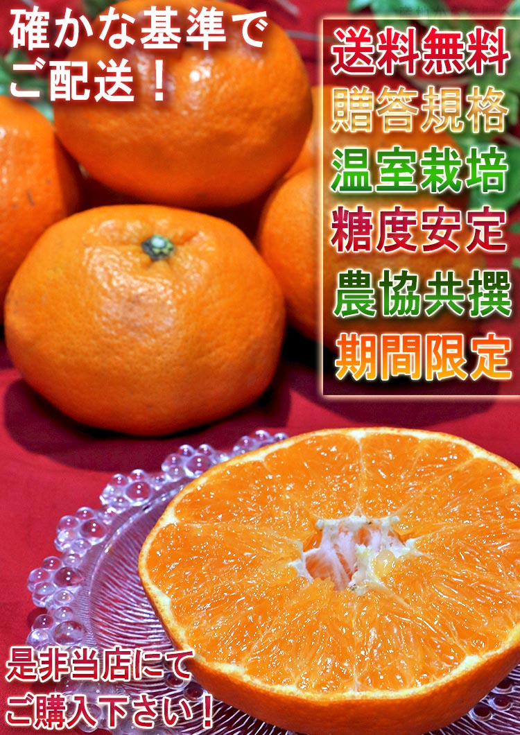 甘平 かんぺい 温室栽培 約2.5kg M〜4Lサイズ 愛媛県産 贈答規格 JA共