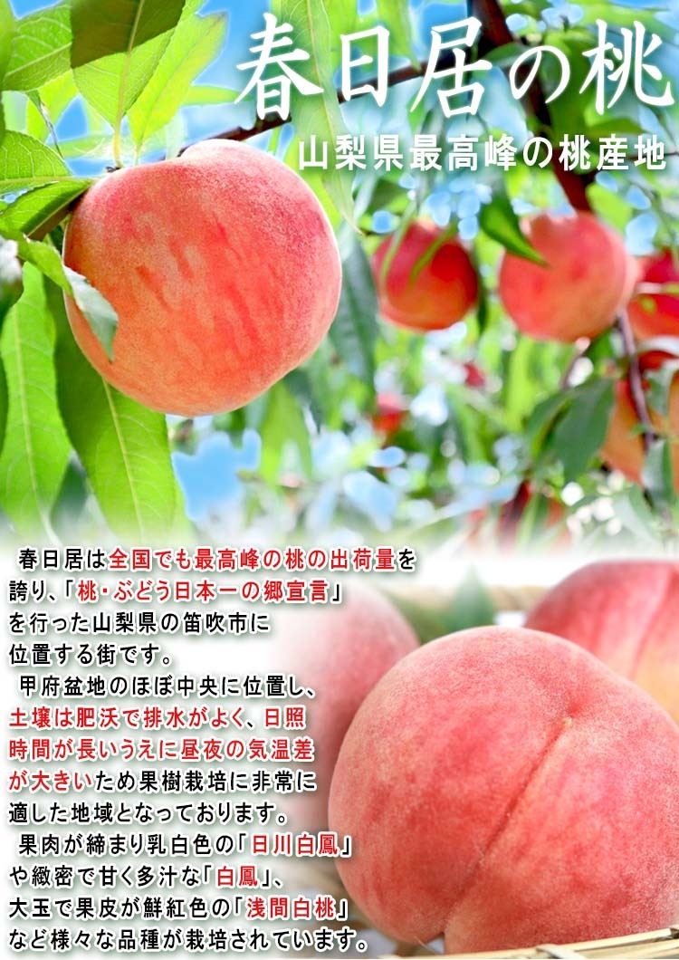 果物 春日居