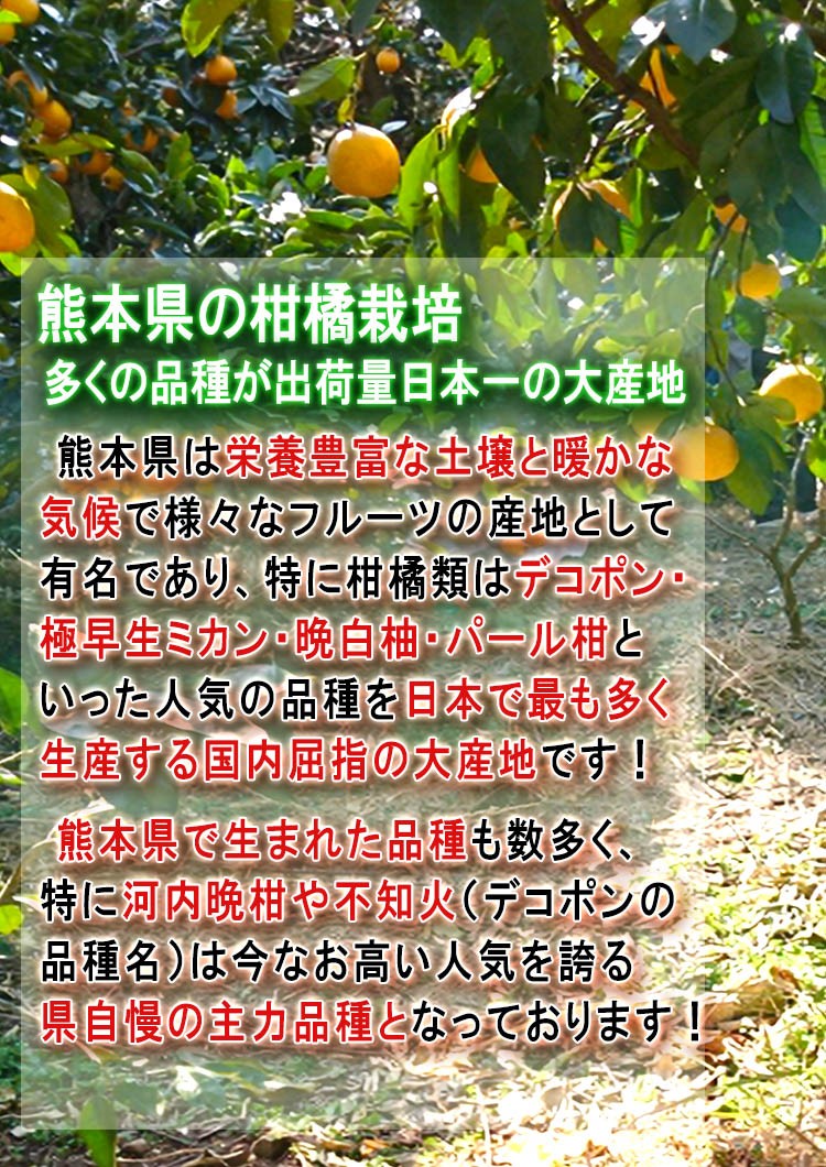 かわちばんかん JA熊本市