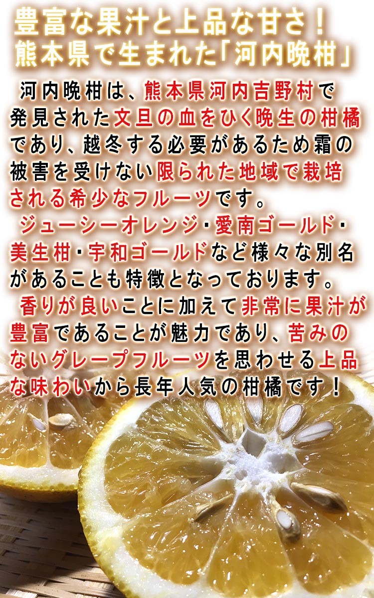 フルーツ ジューシーオレンジ