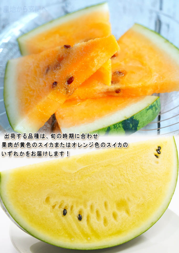 大玉 すいか
