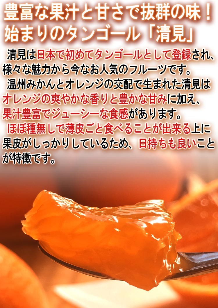 清見オレンジ タンゴール