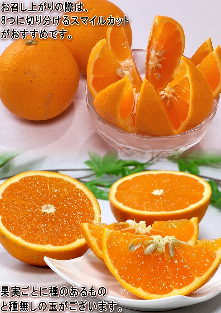 スマイルカット 清見