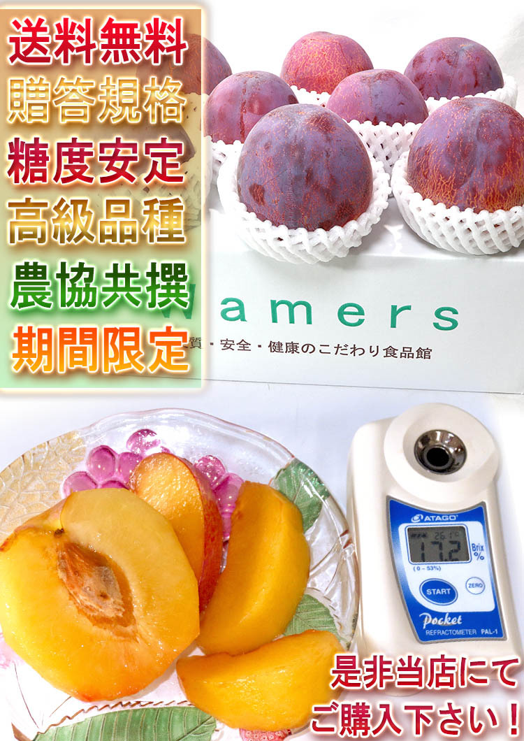 高級プラム きよう
