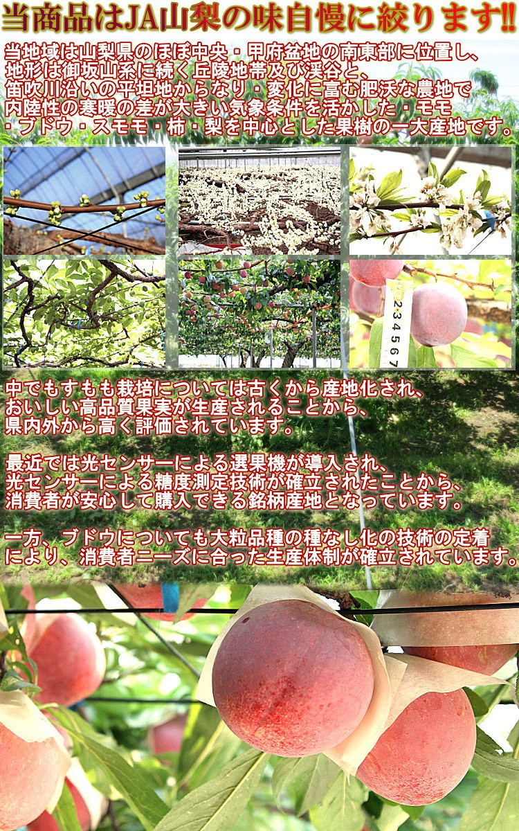 きよう ギフト