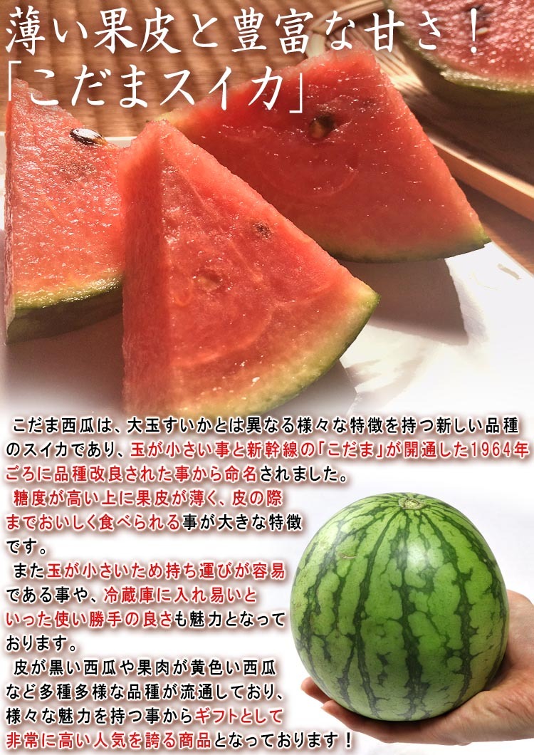 西瓜 こだま