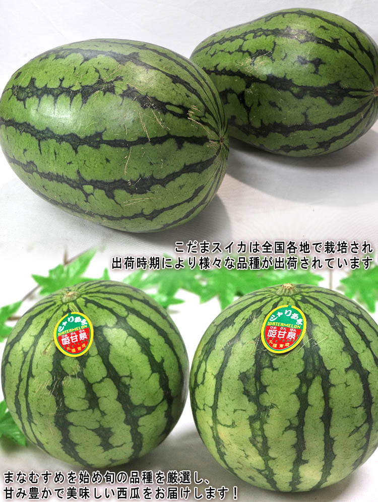 旬 スイカ