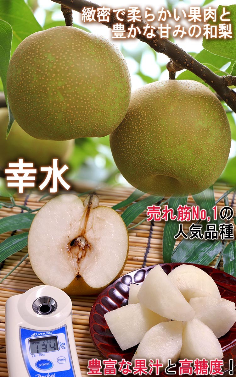 幸水 千葉