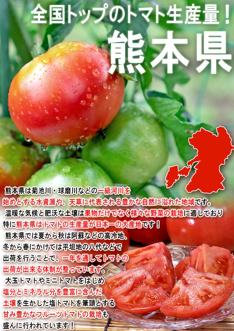 トマト 熊本