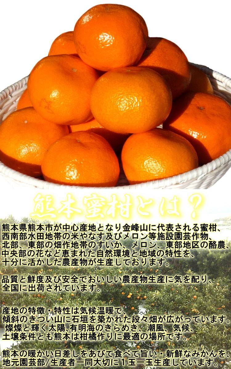 極まろ蜜柑 温州みかん 約10kg L〜3Lサイズ 熊本県産 大玉サイズ 農園