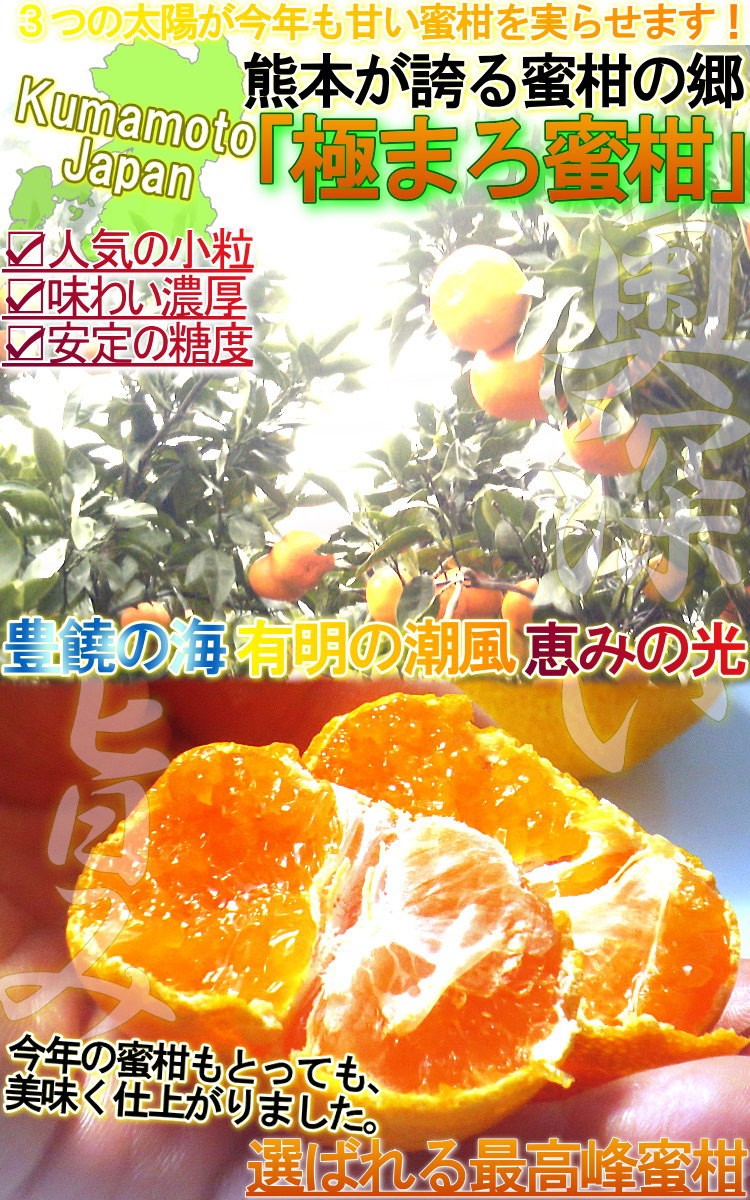 極まろ蜜柑 温州みかん 約10kg L〜3Lサイズ 熊本県産 大玉サイズ 農園