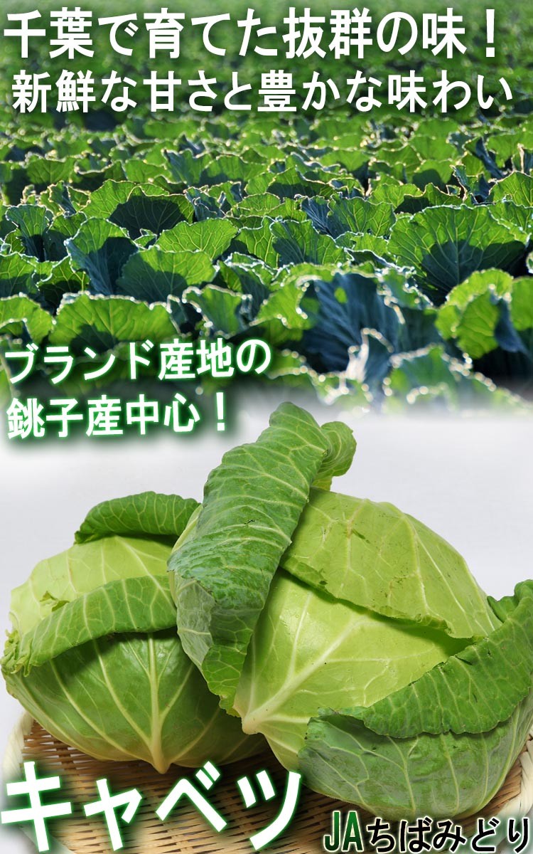 千葉 野菜