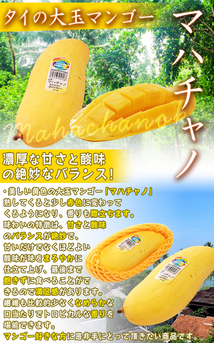 タイマンゴー 1.5kg 4〜6玉 大玉 マハチャノ・ナンドクマイ タイ産 高