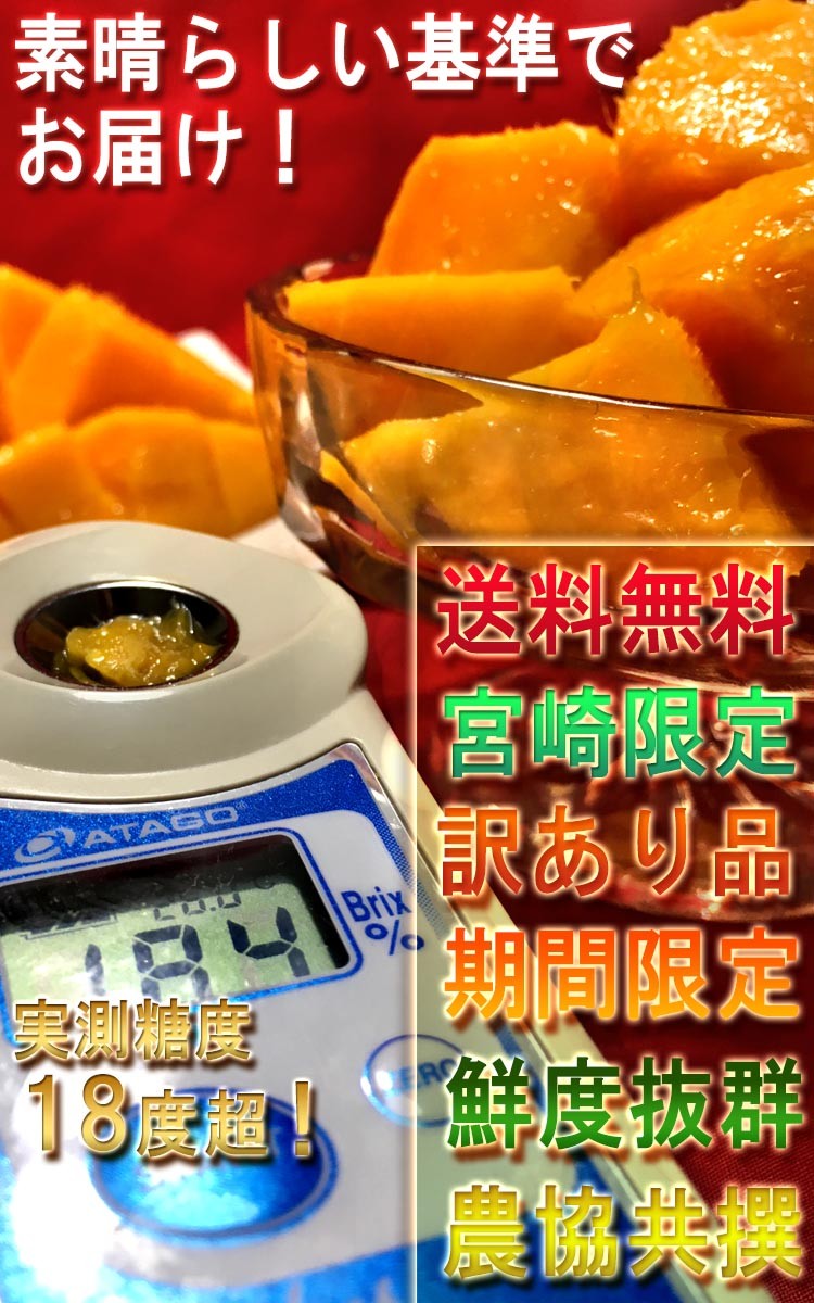 果物 高級品